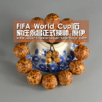 FIFA World Cup|石家庄永昌正式换帅 原伊朗队主教练古特比上任(图1) FIFA World Cup
