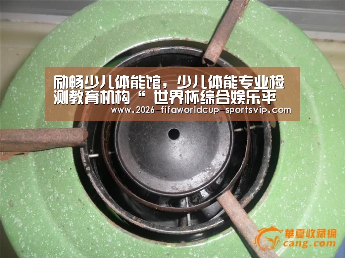 励畅少儿体能馆,少儿体能专业检测教育机构“ 世界杯综合娱乐平台”(图3) 世界杯综合娱乐平台